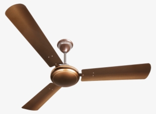 Havells 1200 Fan Ss390, Pearl Brown Available At Infibeam - Havells Ss 390 Metallic