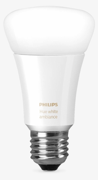 Led Lamp
