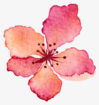 Pink Flower Watercolor Hand Drawn Cartoon Transparent - Flores De Acuarela Png