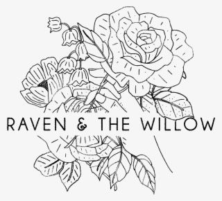 Raven And The Willow - Line Art