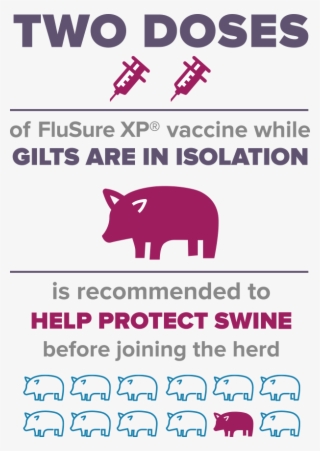 Vaccine Info - Pig Vaccination Program Philippines