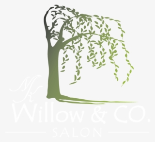Willow And Co - Calligraphy