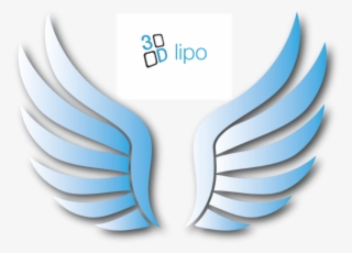 Book A Free 3d Lipo Consultation On The Dedicated 3d - 3d Lipo