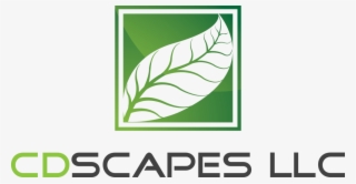 Cd Scapes Llc Logo