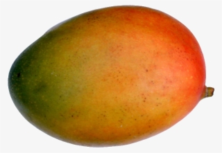 Mango Fruit, Fruit Recipes, Orange, Fruit Food, Twitter, - Mango Fruit