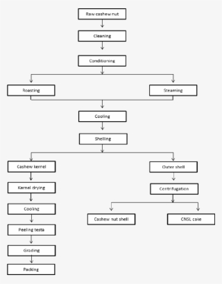 Unit Operations Involved In Cashew Nut Processing - Number