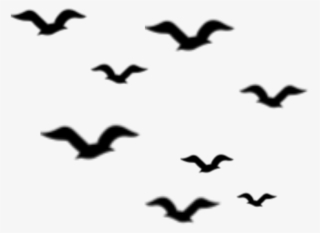 Ftestickers Birds Silhouette Flock Bird Animal - Flock