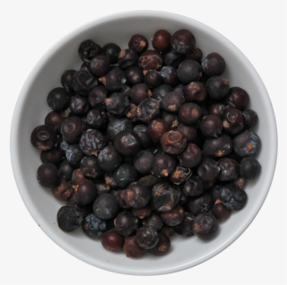 juniper berries - juniper berry