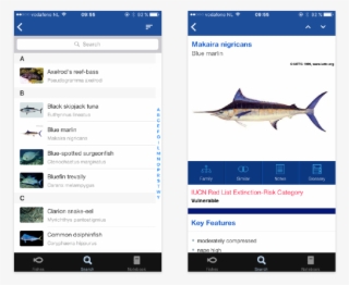 Combination Search - Carcharhiniformes