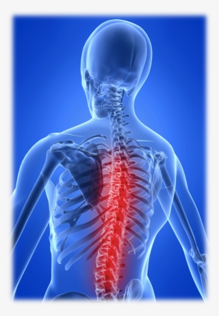 Why Is Long Passive Sitting So Bad For Our Spine - Spine Safe Moving Handling
