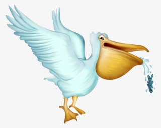 Pelicano Animado Png