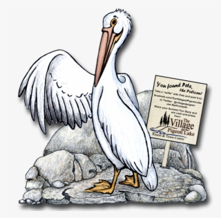 Pete The Pelican - White Pelican