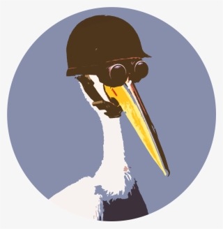 Gamer Pelican