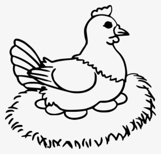 Duck Chicken Coloring Book Rooster Egg - Drawing Of An Egg To A Chicken