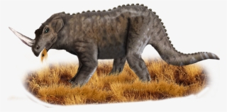 Top Lesser Known Cryptids From Around The Globe