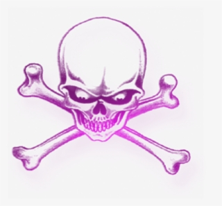 Mq Pink Neon Skull Skulls Bones - Ouled Haffouz