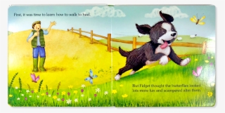 Traditional Padded Board Book - Dog Catches Something