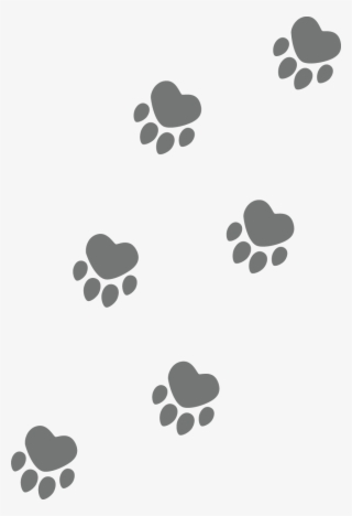 For Regular Dog Walks We Will Make An Individual Care - Illustration