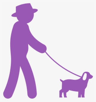 Image Representing A Senior Man Walking A Dog - Dog Walking