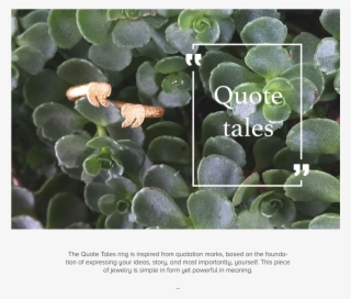 Quotation Ring-01