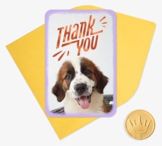 25" Mini Cute Puppy Thank You - Moscow Watchdog