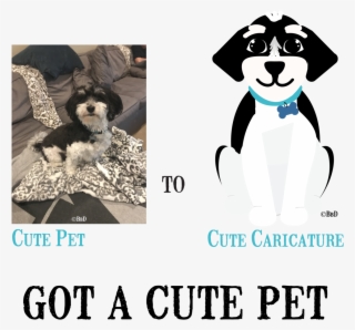 Companion Dog