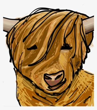 Harry The Highland Cow