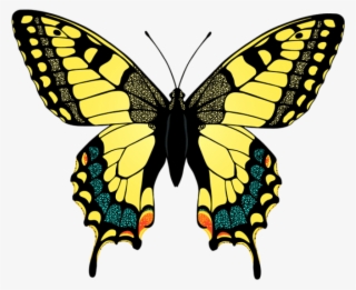 Free Png Download Yellow Butterfly Clipart Png Photo - Swallowtail Butterfly Clip Art