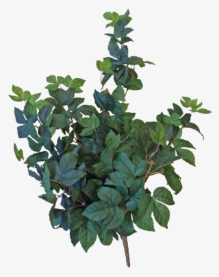 28” Soft Touch Maple Hanging Bush - Houseplant