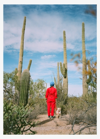 Film Photo Diary