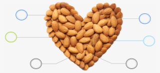 Benefits Of Almonds - Almond