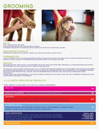 Web Grooming Page - Flyer