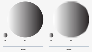 A Chart Showing A Vector And A Raster Circle Scaled - Circle