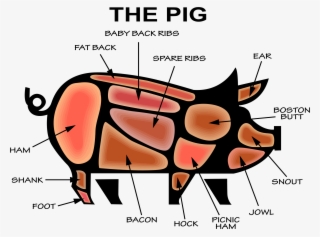 Big Image - Infographic Pig
