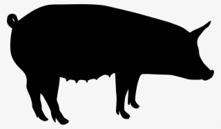 Pig Black Silhouette - Silhouette Of A Bison Transparent PNG - 1200x703 ...