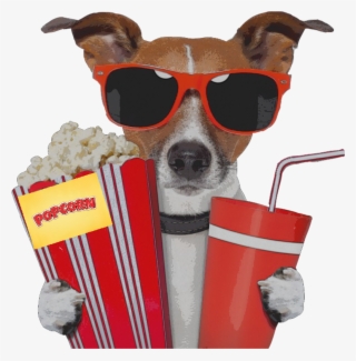 Dog Movie Sunglass Popcorn Movietheater Movietime Red - Chien A Lunette Humour