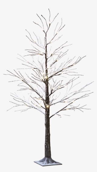 Led-tree Snowy - Pond Pine