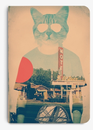 Dailyobjects Cool Cat A5 Notebook Plain Buy Online - Poster