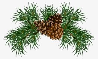 Free Png Pine Branches With Pine Cones Png - Christmas Pine Cone Png