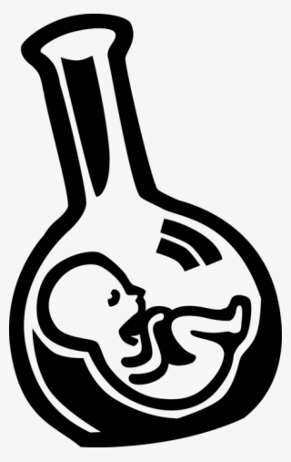 Vector Illustration Of Fetus Prenatal Human Between