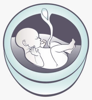 Welcome To The Online Website Of Comprehensive Maternal-fetal - Maternal Fetal Medicine