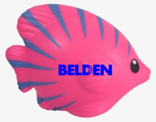 Have Question - Belden Cdt Inc