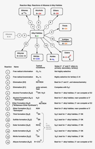 Shows The Different Reactions Of Alkanes And Alkyl - Alkene And Alkyne Reactions Flow Chart
