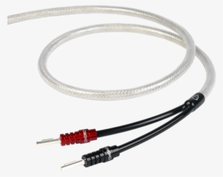 Shawline X Speaker Cable - Chord Shawline Speaker Cable Png