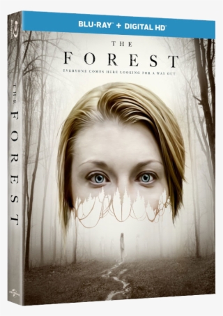 Blu Ray Review - Into The Forest 2015 Bluray