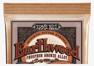 Earthwood 12 String Light Phosphor Bronze Acoustic - Ernie Ball