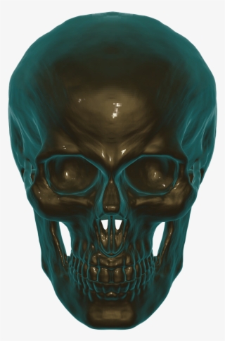 Skull, Anatomy, Skull And Crossbones, Human, Head, - Skull