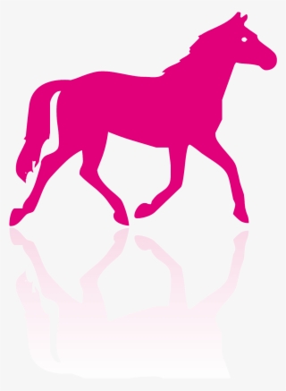Adiavet™ Equine - Horse Silhouette
