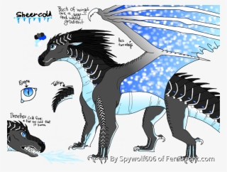Sheercold The Icewing/nightwing Hybrid - Wolf The Nightwing Icewing