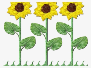 Sunflowers Clipart Shrub - Sunflower